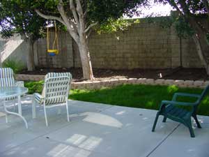 back yard