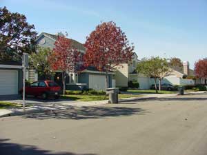 pacific cove drive