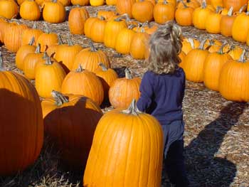 aly at the pumpkin patch