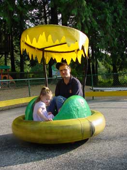 bumper cars