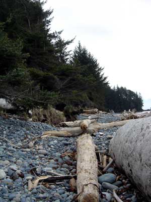 skimming stones