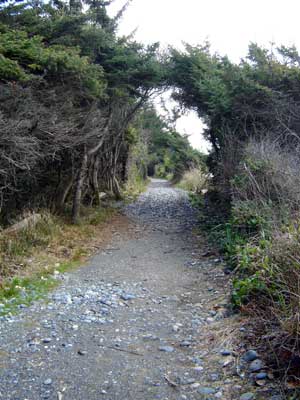 path