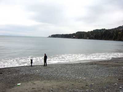 skimming stones