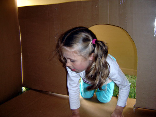 cardboard house