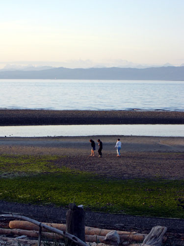 evening walk