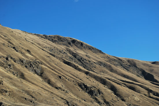 kelowna to seattle