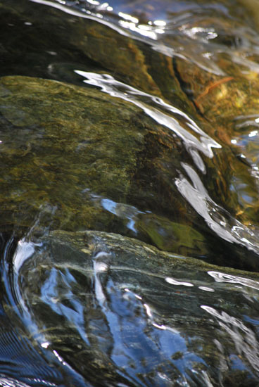 mission creek