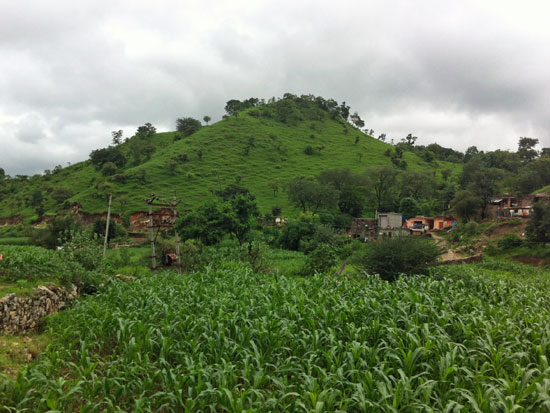 india